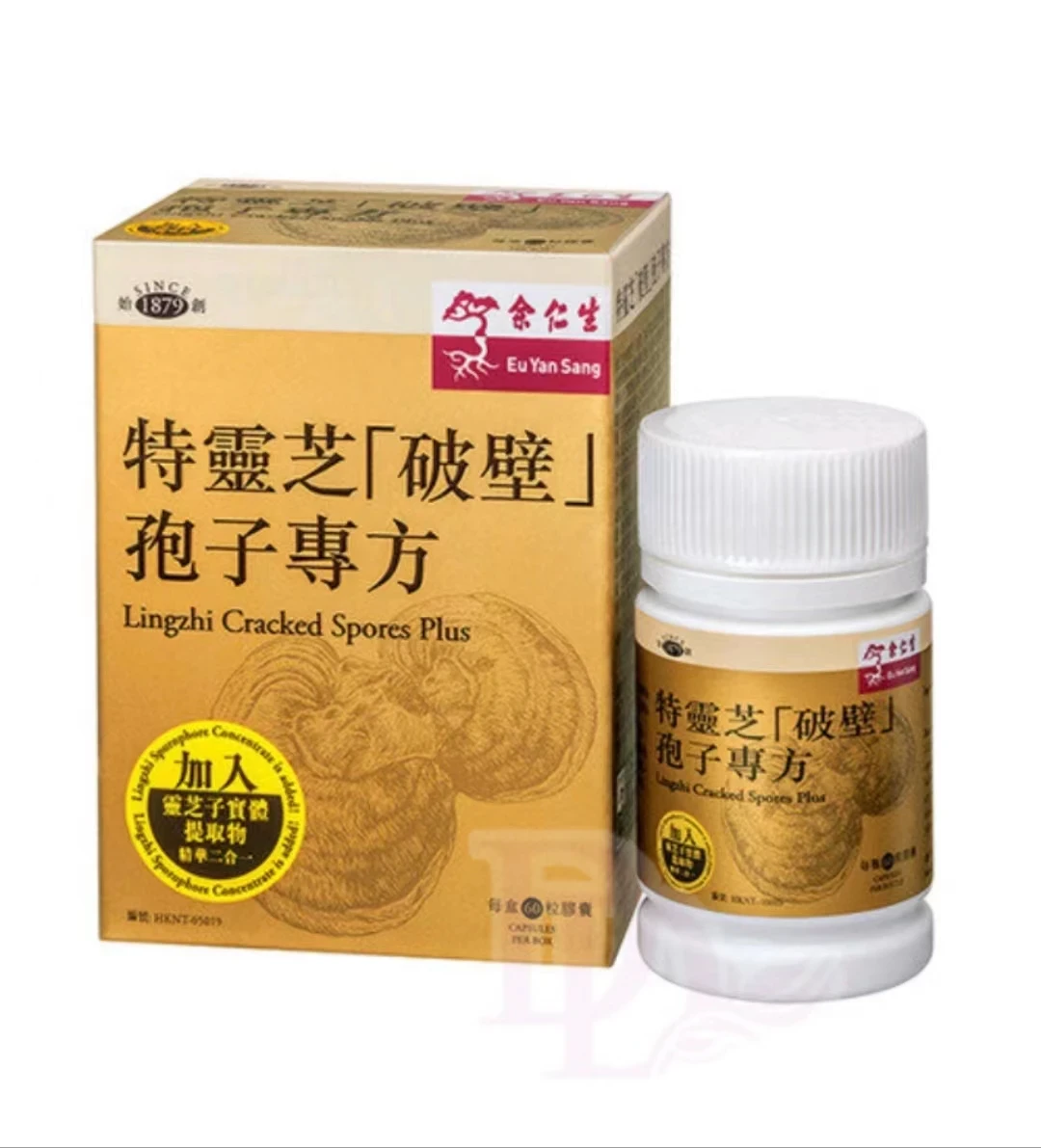 Eu Yan Sang 余仁生 - 特靈芝破壁孢子專方 60粒 2盒 | 友和 YOHO