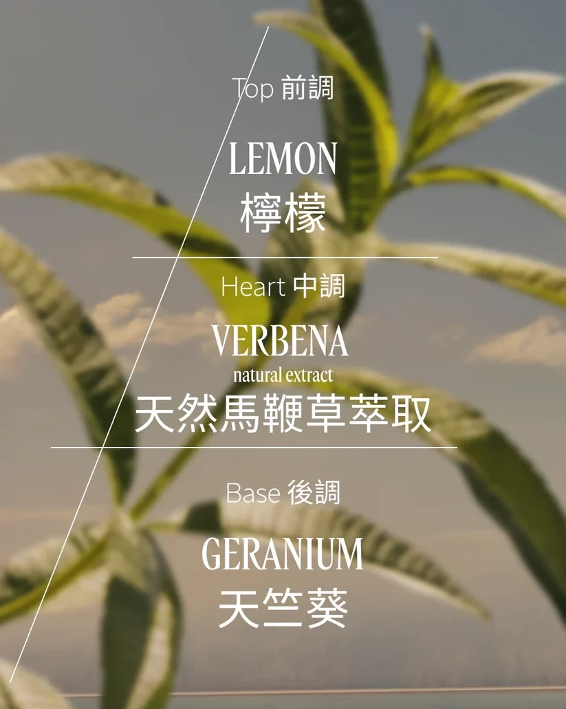 Image of 馬鞭草淡香水 10ml
