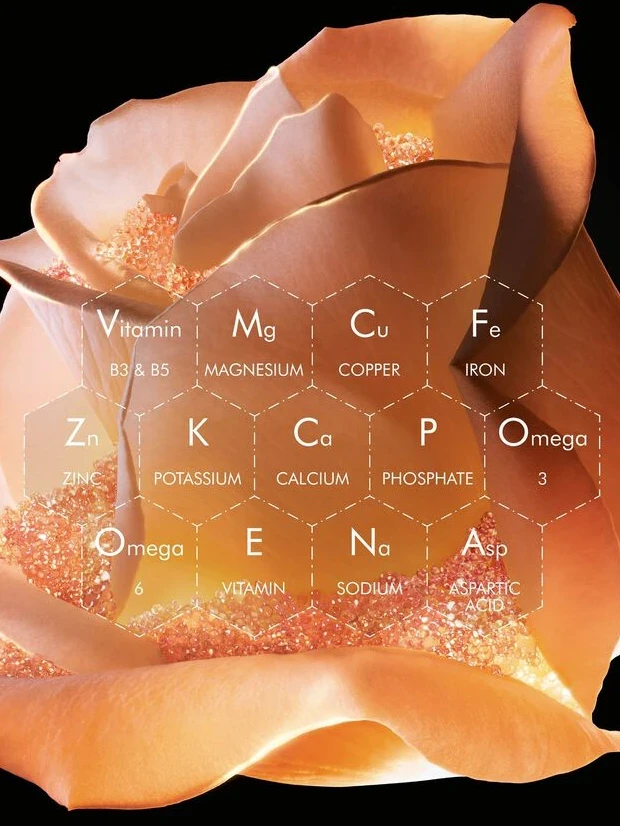 Image of 玫瑰花蜜活養再生精華油 50ml